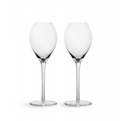 Saga Champagnerglas, 2-teilig Klar