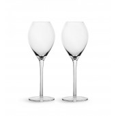 Saga Champagnerglas, 2-teilig Klar