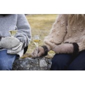 Saga Champagnerglas, 2-teilig Klar