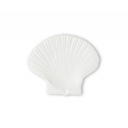 Teller Shell M Weiß