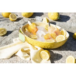 Schale Lemon L Gelb