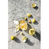 Schale Lemon L Gelb
