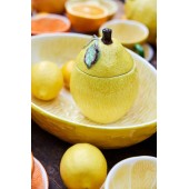 Schüssel Zitronenmarmelade Gelb