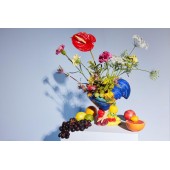 Schüssel Fruity Rooster Multi blau