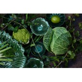 Schüssel Veggie L Grün