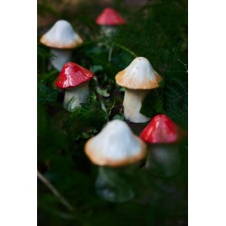 Salz- und Pfefferset Mushi Mixed