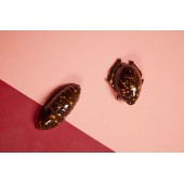 Salz- und Pfefferset Bug Brown