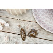 Salz- und Pfefferset Bug Brown