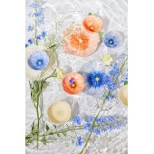 Tasse Mohn rot