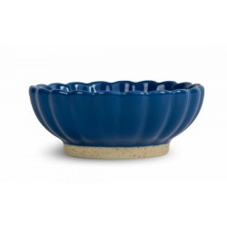 Schüssel Florian S Blau