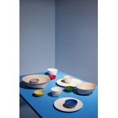 Schüssel Florian S Blau