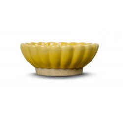 Schale Florian S Gelb