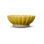 Schale Florian S Gelb