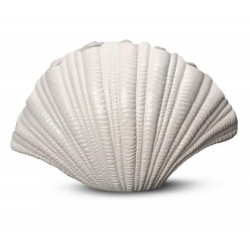 Vase Muschelweiß