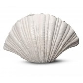 Vase Muschelweiß
