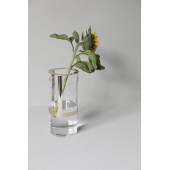 Haltevase mittel Klar/Gold