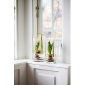 Haltevase mittel Klar/Gold