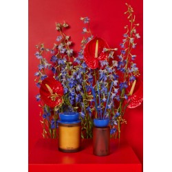 Diffusor Ignite Bernstein/Blau