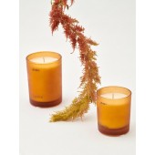 Duftkerze Ignite 45h Amber