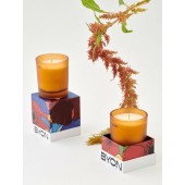 Duftkerze Ignite 30h Amber