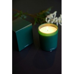 Werbekerze Ginger Joy Green