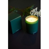Werbekerze Ginger Joy Green